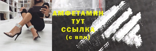 стаф Алексин