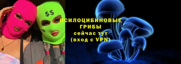стаф Алексин