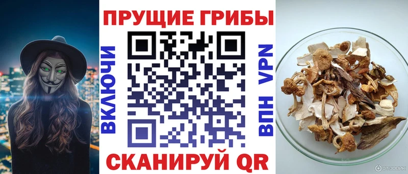 Галлюциногенные грибы ЛСД  Мирный 